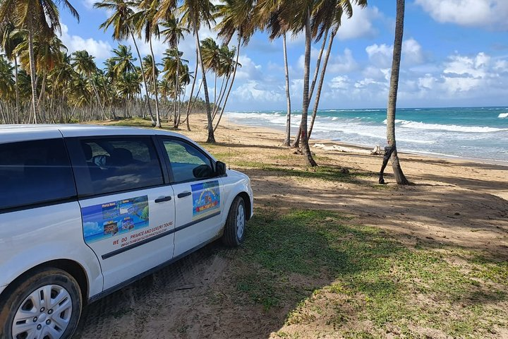 Safari Full Day VIP Experience - Photo 1 of 12